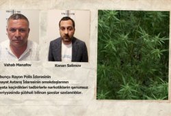 Polis Bakıda narkoplantasiya aşkarladı - VİDEO