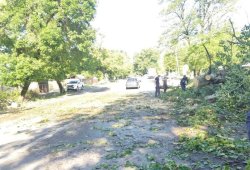 Külək ağacı aşırdı: Magistral yol bağlandı - VİDEO