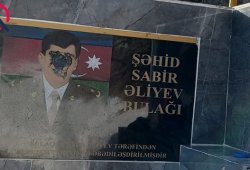 Şəhid abidəsinə qarşı tərbiyəsizlik edən şəxs həbs olundu