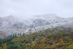 Laçın ağ örpəyə büründü -FOTOLAR