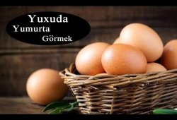 Yuxuda yumurta görmək nəyə işarədir? — Yuxu yozmaları