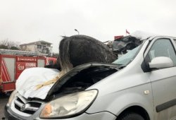 Goranboyda maşın atla toqquşduqdan sonrasu   kanalına   düşdü