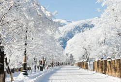 Qar yağacaq, yollar buz bağlayacaq -Bu günün HAVASI