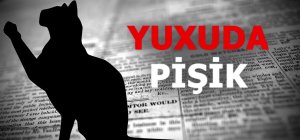 Yuxuda pişik görmək görün nəyə işarə imiş — Yuxu yozmaları