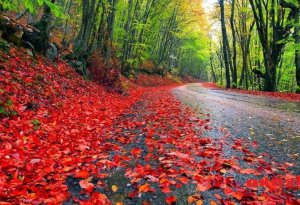 İstirahət günlərinin hava proqnozu açıqlandı