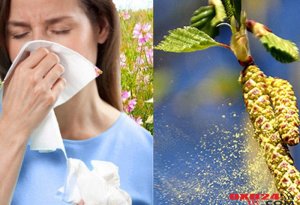 Yaz allergiyasının təbii vasitələrlə müalicəsi - Resept