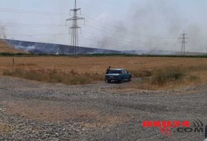 Göyçayın 3 kəndində 100 hektara yaxın otlaq və taxıl sahələri yanır (FOTOLAR)