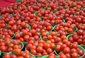 Pomidor ucuzlaşacaq -ŞAD XƏBƏR