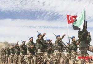 SON DƏQİQƏ: Türkiyə Suriyadakı əməliyyatları dayandırdı