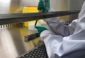 SENSSASİYA: Koronovirusu bu ölkə hazırlayıb,laboratoriyaya köçürərkən ətrafa dağılıb