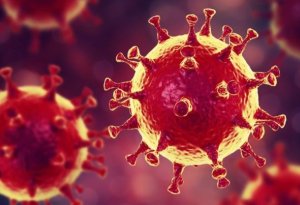 Koronavirusun sürətli yayılmasının SİRRİ AÇILDI: SENSASİON ARAŞDIRMA