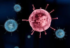 Dünya şöhrətli PROFESSORDAN sevindirici xəbər: Koronavirus tezliklə bitəcək!
