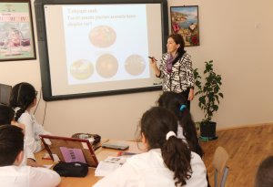 Azərbaycanda dərslər sentyabrda başlayacaq? - Təhsil Nazirliyi AÇIQLADI