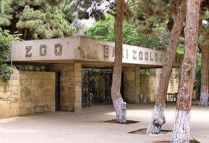 Bakı zooparkında təmir nə vaxt başa çatacaq? - AÇIQLAMA