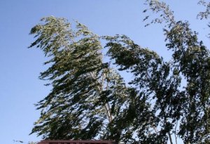 ETSN-dən ölkədəki faktiki hava şəraiti ilə bağlı AÇIQLAMA