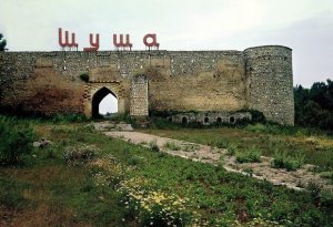 İşğalçı Ermənistanın Şuşada meşələri yandırmasına nazirlikdən REAKSİYA