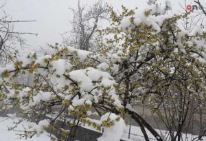 Hava KƏSKİN DƏYİŞİR: Bakıya leysan, rayonlara qar yağacaq