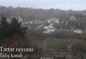 Talış kəndinin görüntüləri - VİDEO