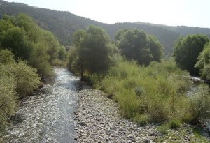 Hikmət Hacıyevdən ermənilərin Ağdam və Laçından çıxarılacağı vaxtla bağlı AÇIQLAMA