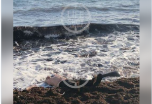 Rus sevgilisi və azyaşlı qardaşını öldürən azərbaycanlı dəniz sahilində tapıldı - FOTO