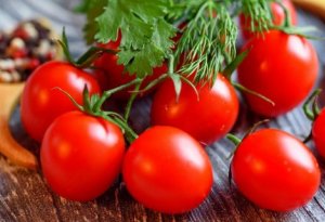 Azərbaycandan Rusiyaya pomidor ixracı bərpa edilib