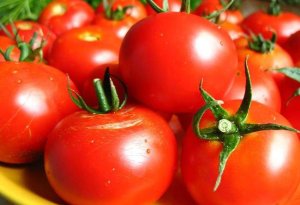 Rusiya Azərbaycanın 12 müəssisəsindən pomidor idxalına icazə verib