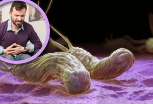 Mədəsində bakteriya və mikrob olanlar - NƏ YEMƏLİDİR?