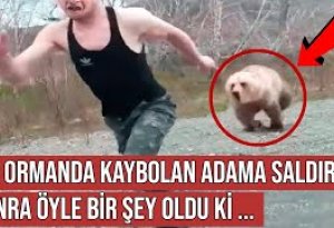 Meşədə oğlan ayı ilə üz-üzə gəldi görün, nə oldu +VİDEO