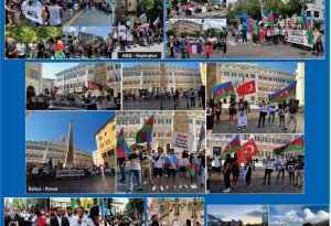 Tovuz döyüşləri: dünya azərbaycanlılarının həmrəylik və birlik hərəkatı