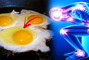 Siz bilirsinizmi ki, əgər gündə 3 yumurta yesəniz sizin sağlamlığıza necə təsir edər? İnanılmazdır!