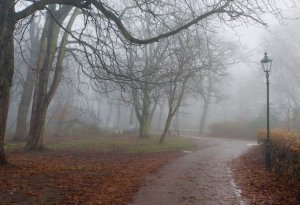 Hava ilə bağlı xəbərdarlıq edildi