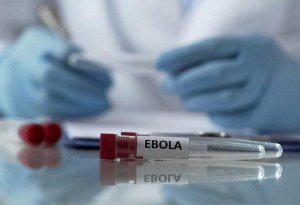 “Ebola” da aktivləşdi: Ölüm sayı artır...