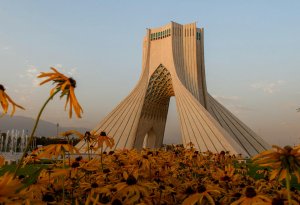 İranda meymunçiçəyi şübhəsi: 9 nəfərdən analiz götürülüb