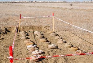 Azad olunmuş ərazilərdə aşkarlanan minaların sayı açıqlandı
