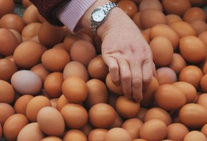 Yumurtanın 1 ədədi 1 MANAT - Yanvar ayına HAZIRLAŞIN