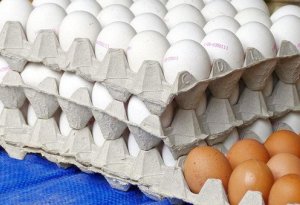Yumurtanın genetik tərkibi ilə oynanılır: - 