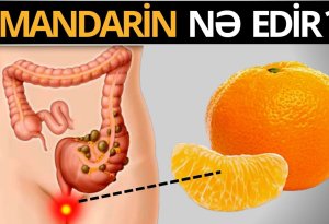 90% insan mandarinin  insana nələr etdiyini bilmir (VİDEO)