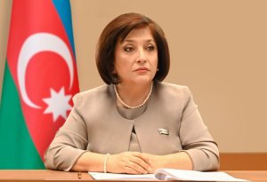 Sahibə Qafarova Türkiyənin vitse-prezidenti ilə görüşüb