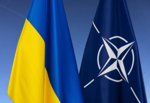 NATO Ukraynaya çoxillik hərbi yardım proqramını qəbul edəcək