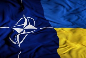 NATO və Ukrayna innovasiyalar üzrə dialoqa başlayıb