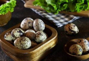 Bildirçin yumurtası yeməyin faydaları