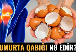90% İnsan Yumurta Qabığının Nələr Etdiyini Bilmir