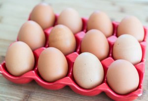 Rusiyada yumurta istehsalı 1,8% artıb