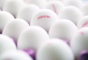 Yumurtanın üzərindəki kodların SİRRİ: 