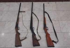 Zərdabda sənədsiz silahlar aşkarlandı