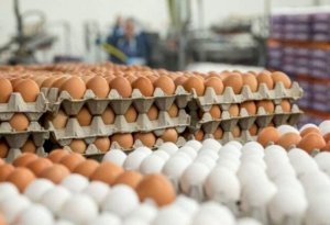 Yumurta kəskin ucuzlaşdı – Qiymətlər daha da ENƏCƏK?
