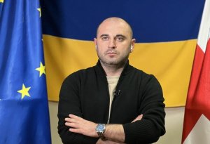 Gürcüstanın müxalif siyasətçisisi SAXLANILDI - FOTO