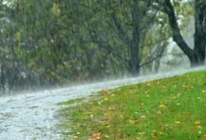 Şimşək çaxıb, yağış yağıb - Faktiki hava