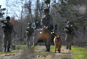 Yunanıstana qaçmağa çalışan terrorçu yaxalanıb