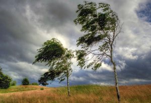 Milli Hidrometeorologiya Xidməti xəbərdarlıq yaydı